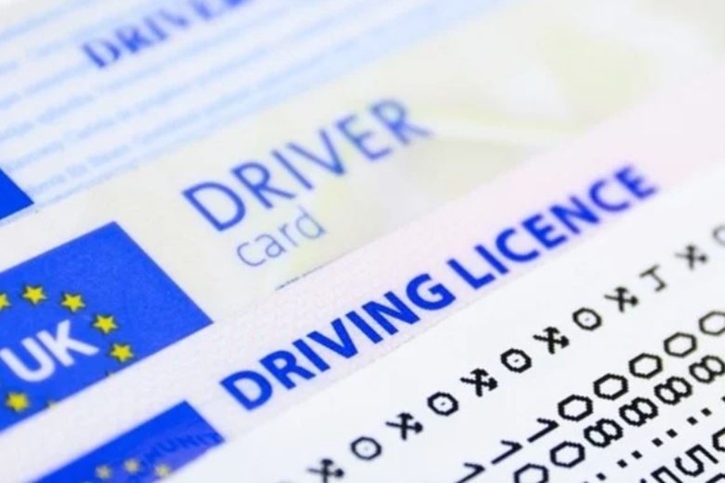 employee driver license checks